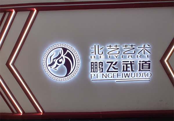 新疆鹏飞武道